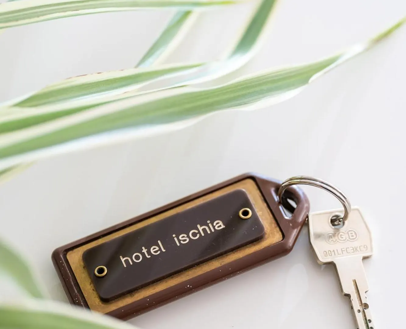 Hotel Ischia Ρίμινι